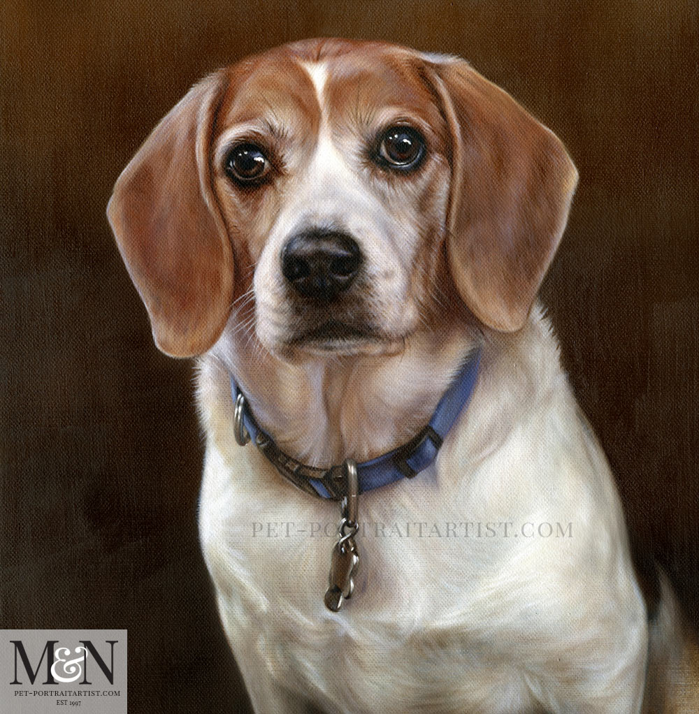 Dog Portraits - Beagle Oil Pet Portrait