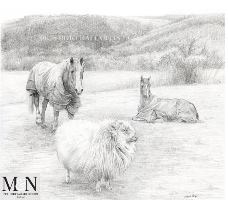 pencildrawingsheep Melanie & Nicholas Pet Portraits