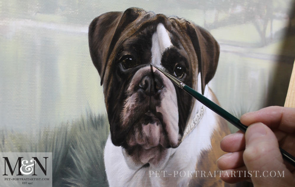 Bull Dog Puppy Portrait of Otis