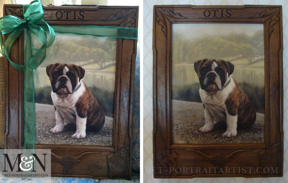 Bull Dog Puppy Portrait of Otis
