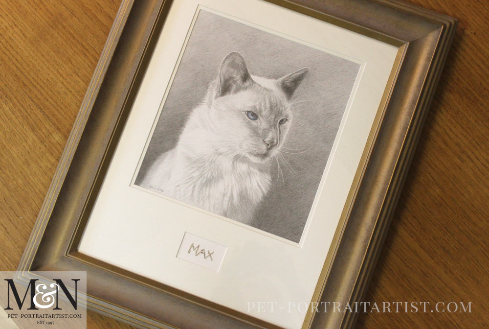 Cat Portrait of Max