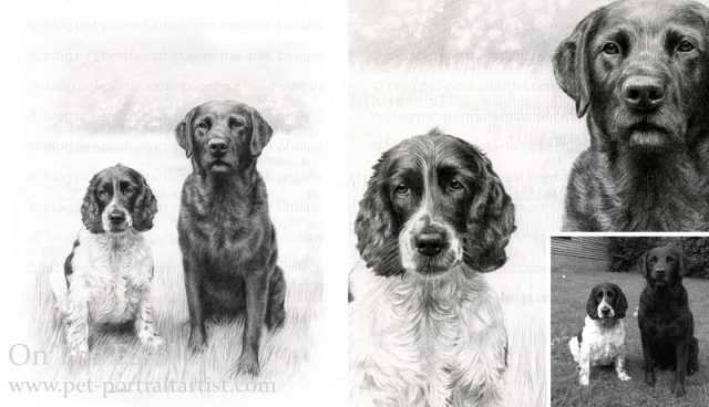 Double Dog Pencil Pet Portraits