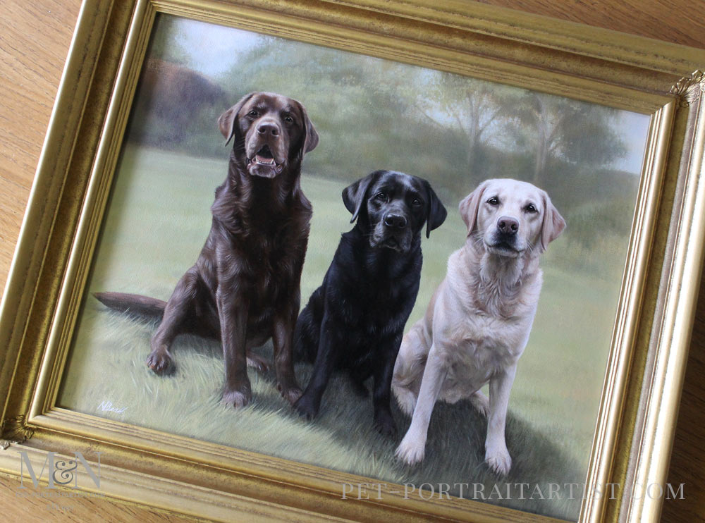 Oil Portrait of Maco, Rex & Rosie