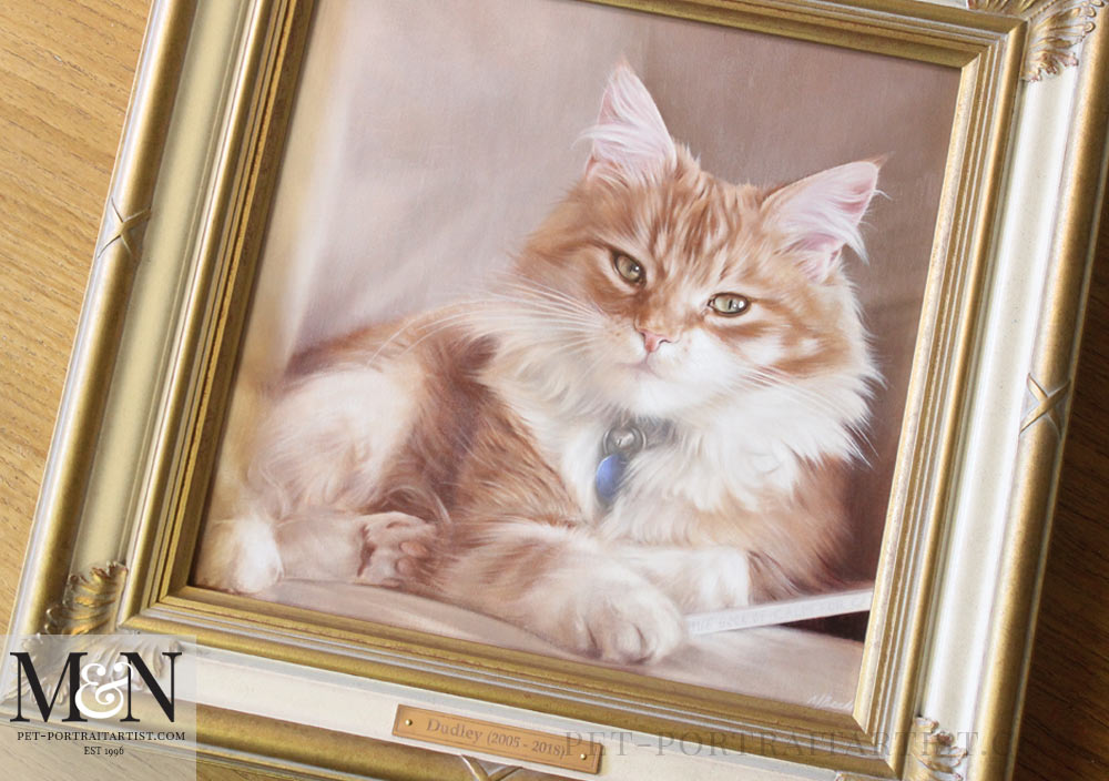 Cat Portrait Framed