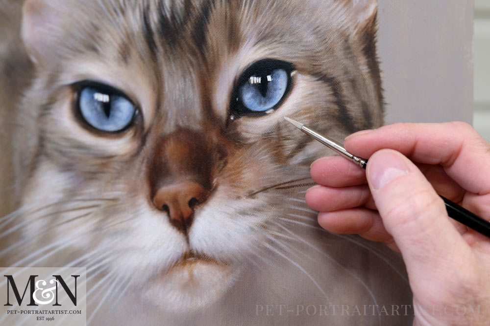 Cat Pet Portraits in Oils