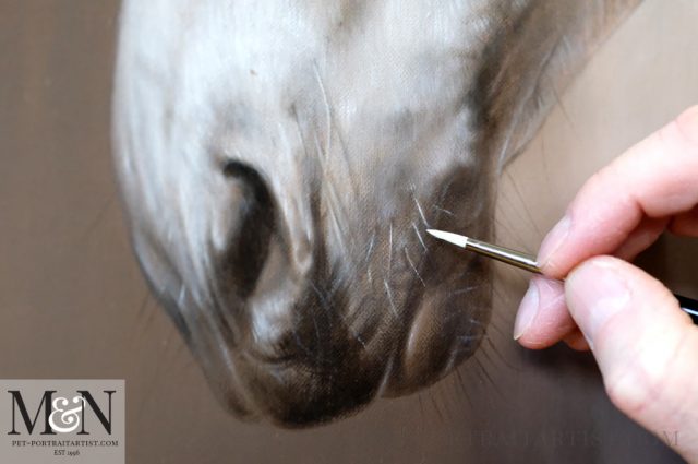 Horse Oil Painting
