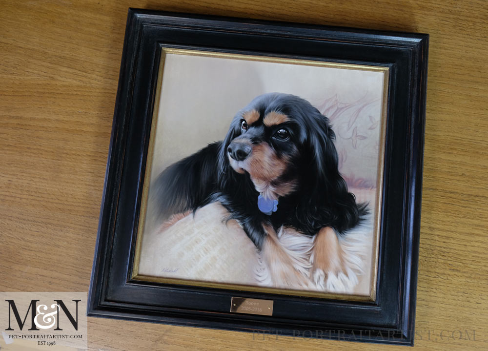 King Charles Spaniel Framed with an Engraved Plaque