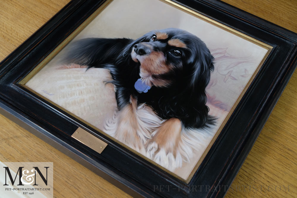 King Charles Spaniel Framed with an Engraved Plaque