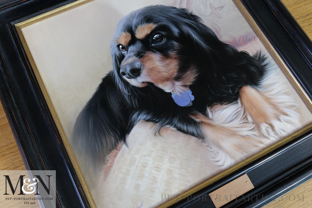 King Charles Spaniel Framed with an Engraved Plaque