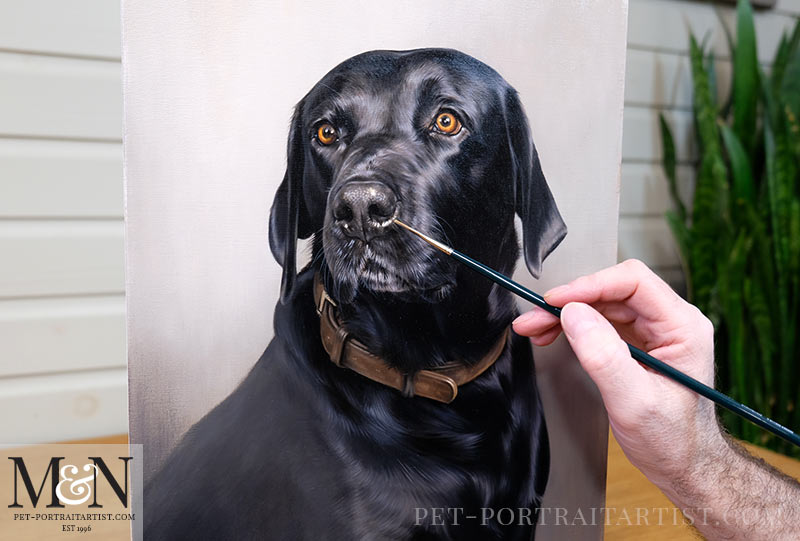 Black Labrador Oil Portrait