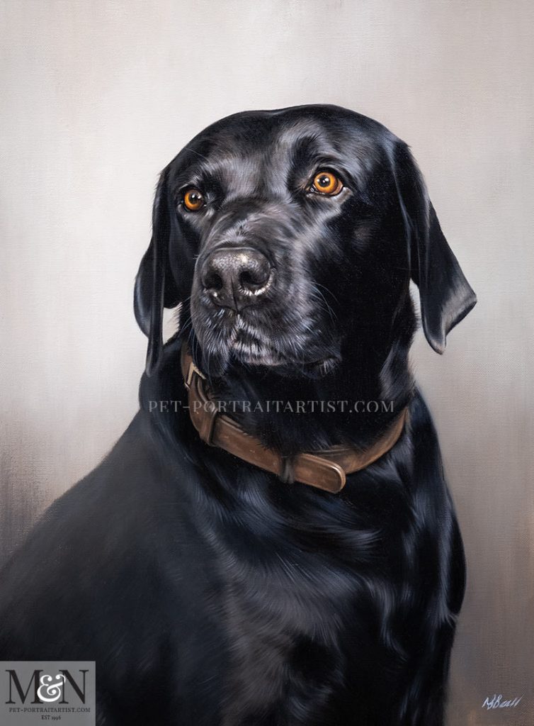 Black Labrador Oil Portrait