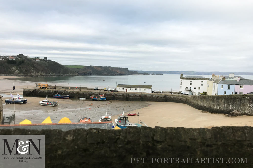 Melanie's January News Tenby harbour in Pembrokeshire