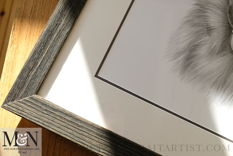 Alsatian Pencil Drawing Framed