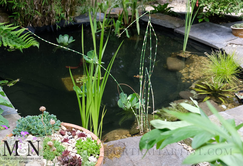 Beautiful Pond Plants