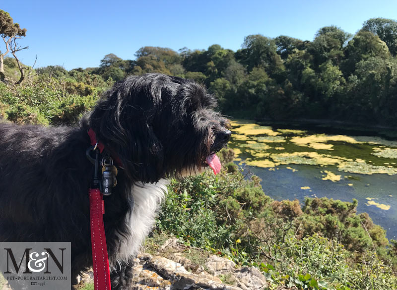 Lily enjoying her day our at Bosherston Lily Ponds Melanie's Monthly News in September