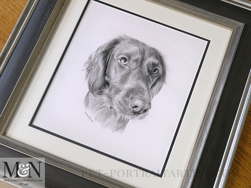 The Portrait of Bramble Framed