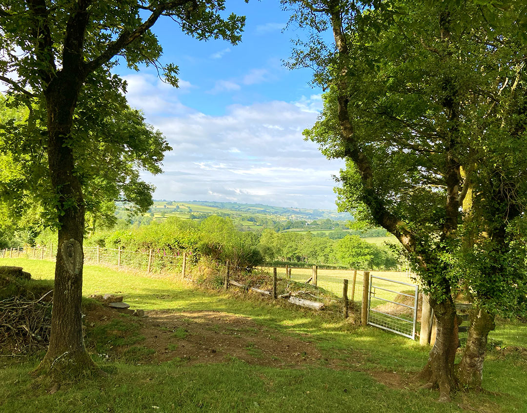 Beautiful view on our lane walk
