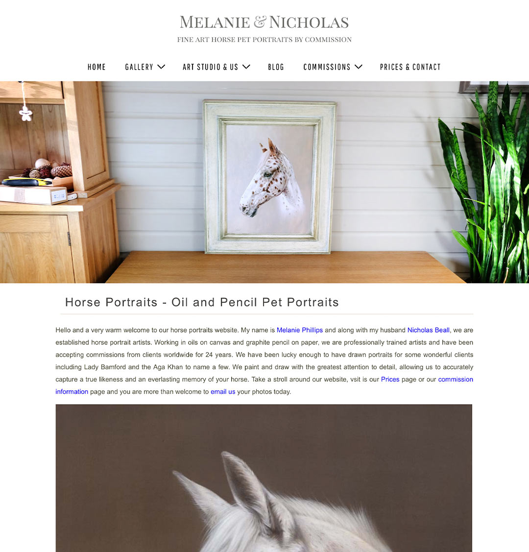 Horse Portraits Website