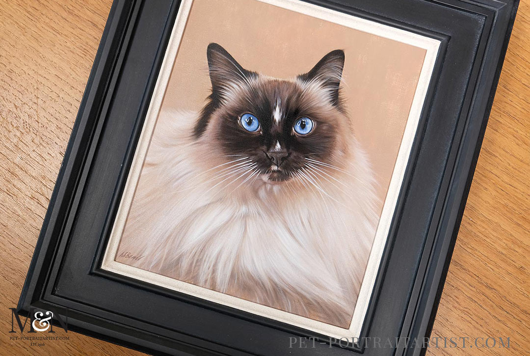 Cat Portrait Framed of Saffie