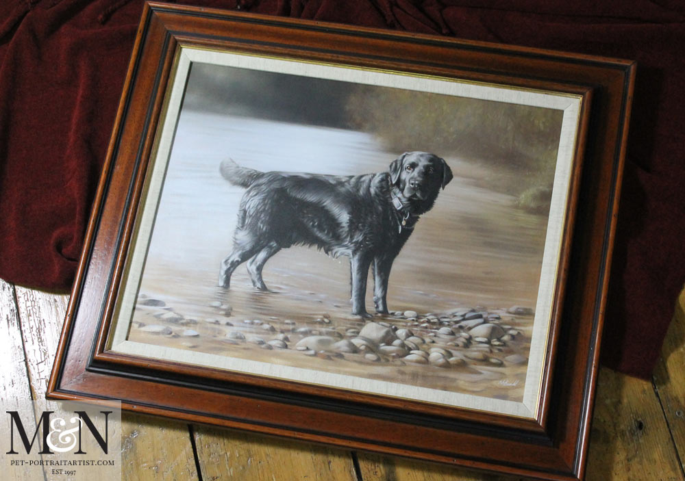 Framed oil painting of the Black Labrador Wilson