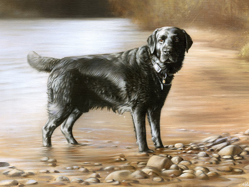 Black Labrador Oil Painting of Wilson