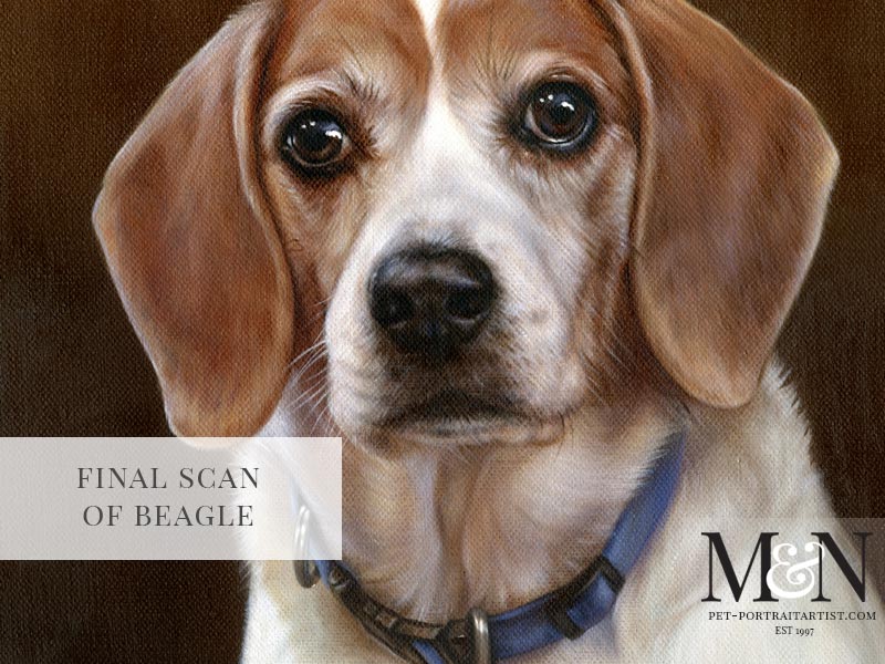 Dog Portraits – Beagle Oil Pet Portrait