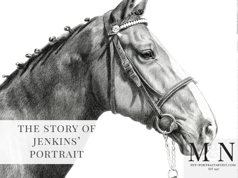 Pencil Pet Portrait of Jenkins