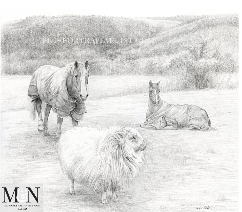 Pencil Portrait of Horses and Sheep