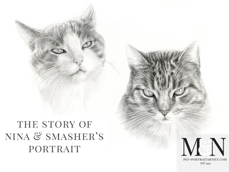 Cat Portrait of Nina and Smasher