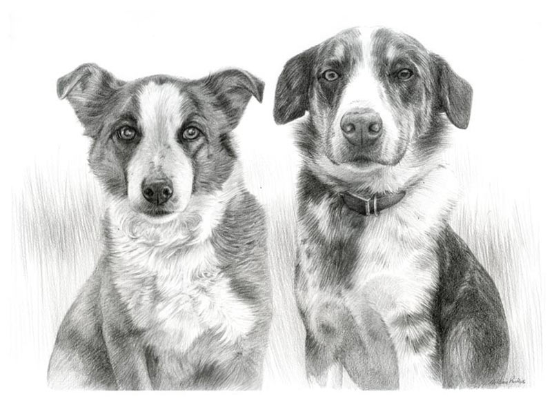 Pencil Portrait of Non and Stanley