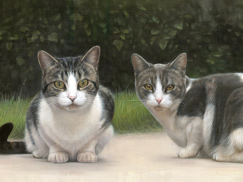 Cat Portraits in Oils