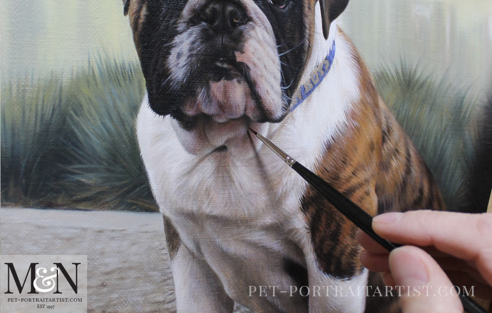 Bulldog Oil Portrait