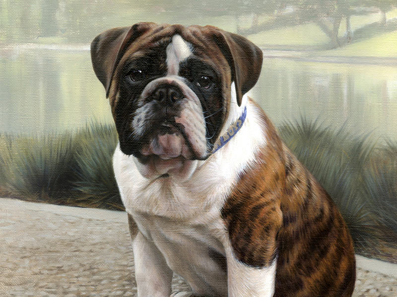 Bulldog Oil Portrait