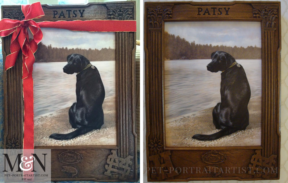 Labrador Dog Portrait of Patsy
