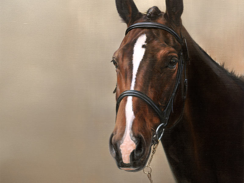 Horse Oil Portrait of Schnapps