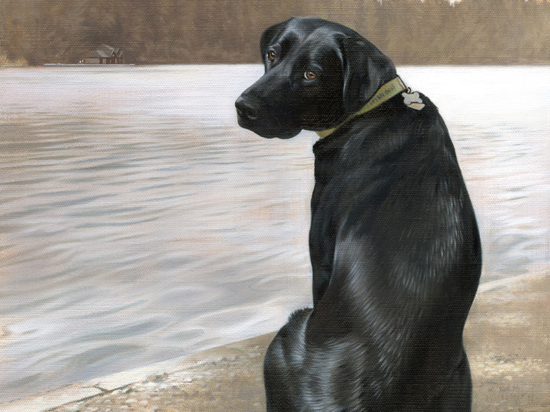 Labrador Dog Portrait of Patsy