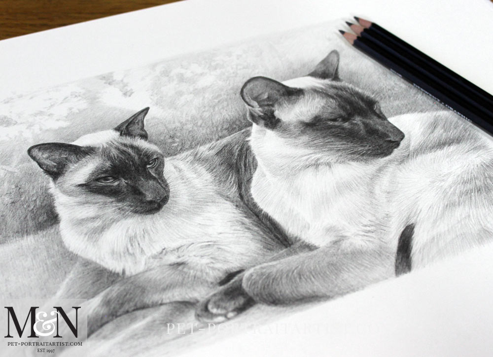 Siamese Cats Pencil Portrait of Tai & Chi