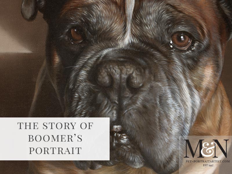 Oil Pet Portrait of Boomer