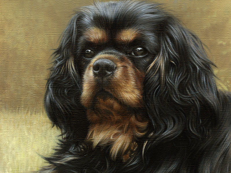 Oil Pet Portrait of Misty