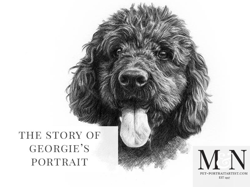 Pencil Drawing of Labradoodle - Melanie & Nicholas Pet ...