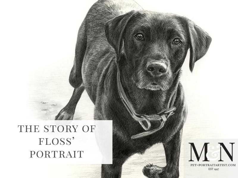 Pencil Pet Portrait of Floss