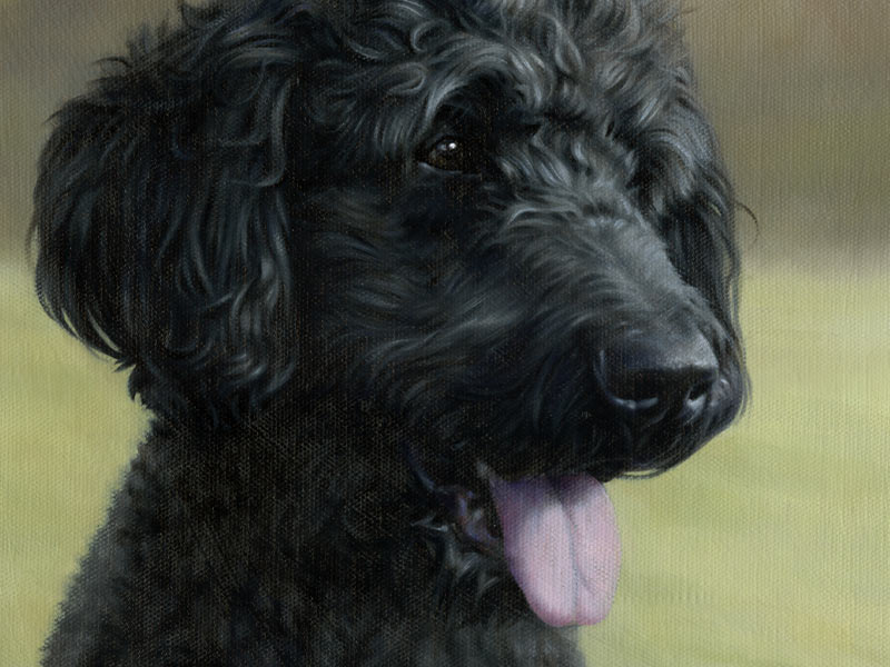 Dog Portrait in Oil