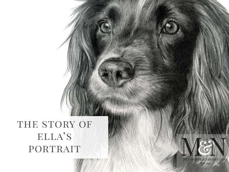 Pencil Pet Portrait of Ella