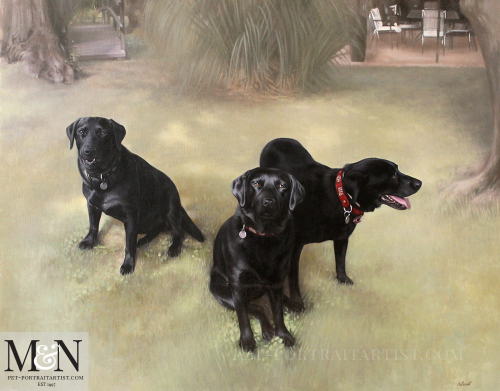 Oil Dog Portrait of Zizou, Gingko & Rover