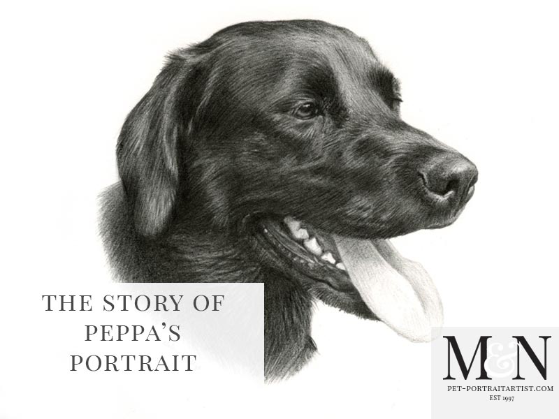 Pencil Dog Portrait of Peppa