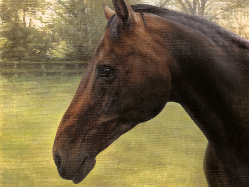 Horse Oil Portrait of Kewlia