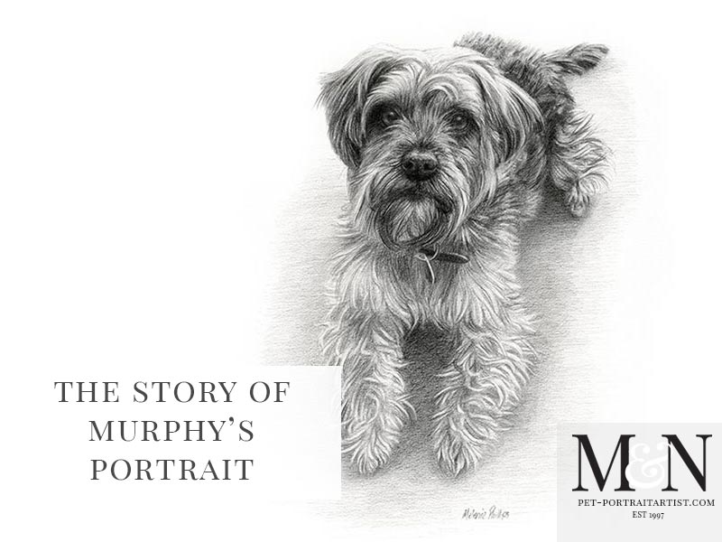 Pencil Drawing of Murphy