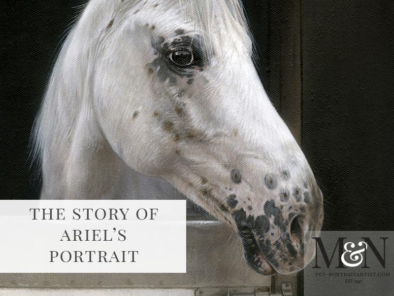 Horse Pet Portrait of Ariel