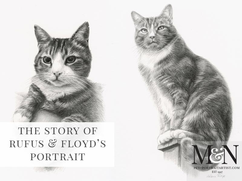 Cat Drawing of Rufus & Floyd