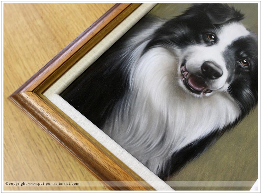 Oil Pet Portrait of Sonny